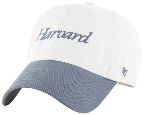 Harvard 47' Clean Up